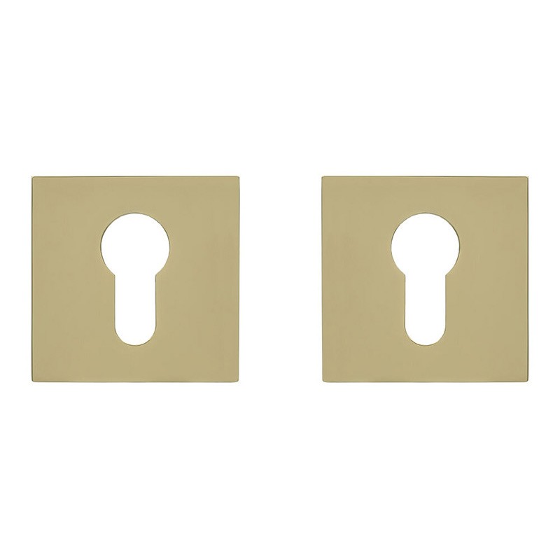 Накладка під циліндр Gavroche Z25-EH GoldPVD (золото)