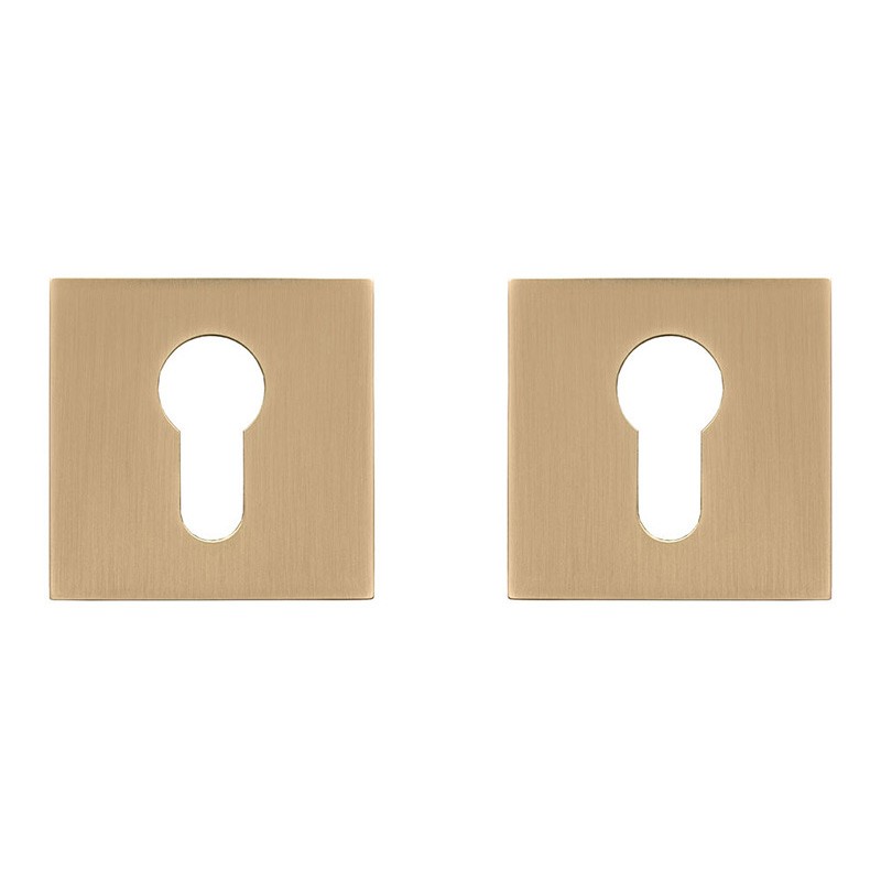 Накладка під циліндр Gavroche Z25-EH GoldSB (сатинове золото)