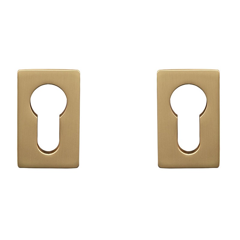 Накладка-поворотник Gavroche X1-EH GoldSB (сатинове золото)