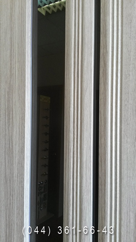 Фото двері Верона С2 в кольорі перла срібна